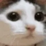 NOPERS emote