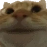 NODDERS emote