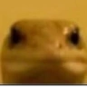 Lizard emote