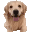 dogLeave
