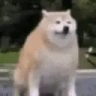 Poof emote
