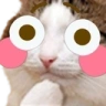 flushedCat emote