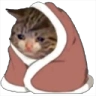 catBlanket emote