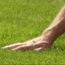 TouchGrass emote