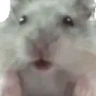knivenWHAT emote