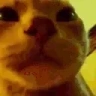AwkwardParty emote