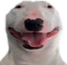 walterSmile emote