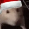 ratJAMM emote