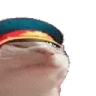 KKatJAM emote