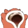 BLANKITTY emote