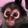 BRUHMM emote