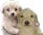 GlinkandFriend