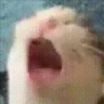 AAAA emote