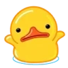 DuckWhat emote