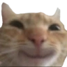 catSmile emote