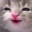 Emote