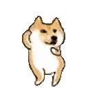 dogeDancin