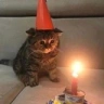 FeelsBirthdayMan emote