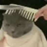 HairCut emote