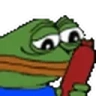 sadgeSALAMI emote