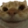 catYep