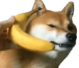 dogePhone emote