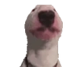 walterJAM emote