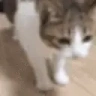 Dead emote