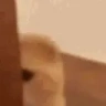 Lurk emote