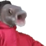 OOOOBANG emote