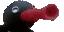NootNoot