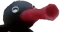 NootNoot