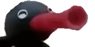 NootNoot emote