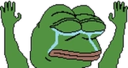PepeHandsUp emote