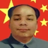 CCP emote