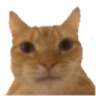 WhoAsked emote