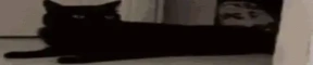 !vanish emote