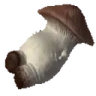 BRUHBRUHBRUHBRUHBRUHBRUH emote