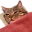 BedgeCat