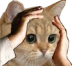 Ohno emote
