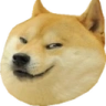 EvilDoge emote