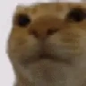 Uhh emote