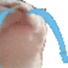 crycatJAM emote