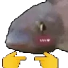 fishShy emote