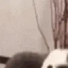 CatSlam emote