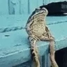 Chillin emote