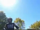 Wheelchair emote