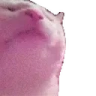 lagJAM emote