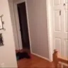 KnockKnock emote