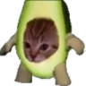 loffredo emote